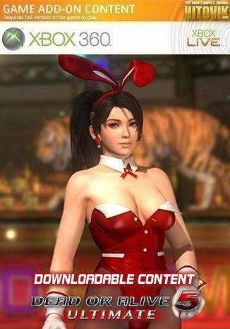 DOA5U: Sexy Bunny Costume set